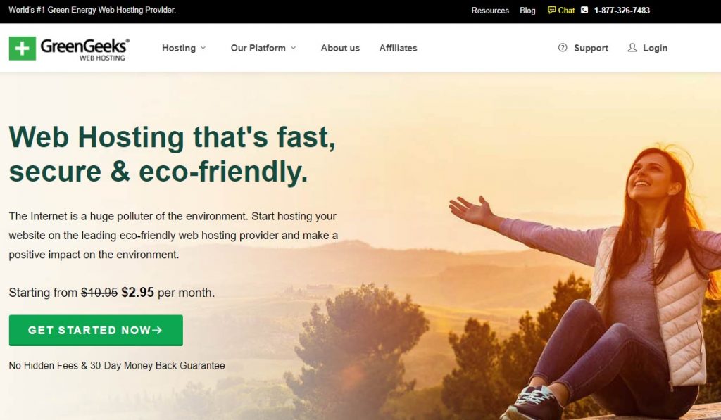 GreenGeeks hosting review