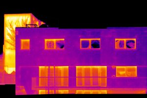 Thermal_image_crop-300x200.jpg