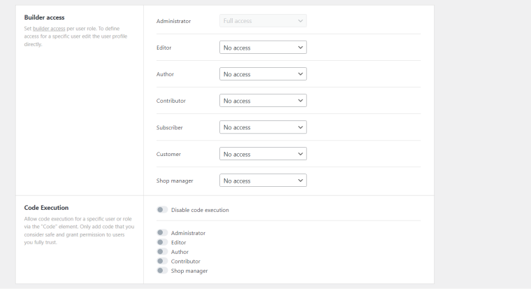 access settings Bricks builder