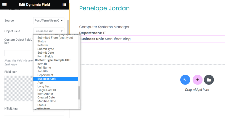 custom fields template WP