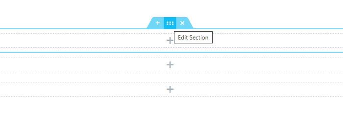 Edit Section button