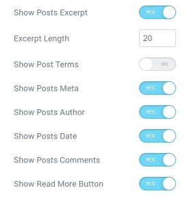 Posts widget Genersl settings section