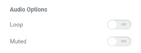 Audio Player widget Options