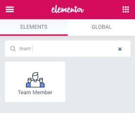 Team Member widget